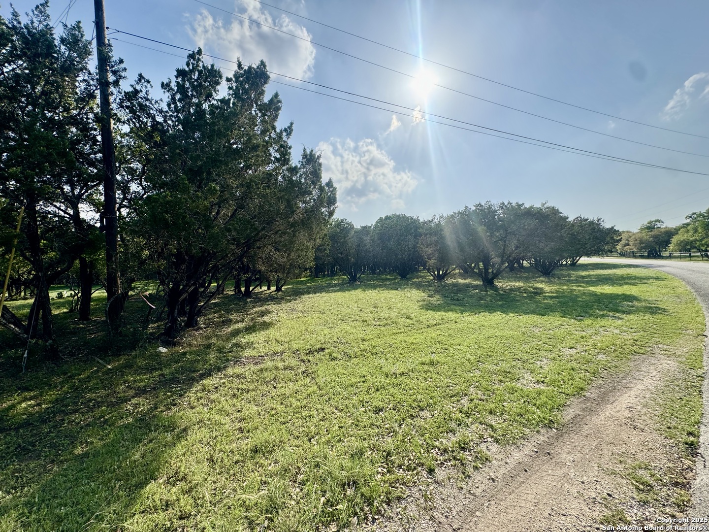 1160 Whispering Water Spring Branch, TX 78070 - Photo 8 of 19