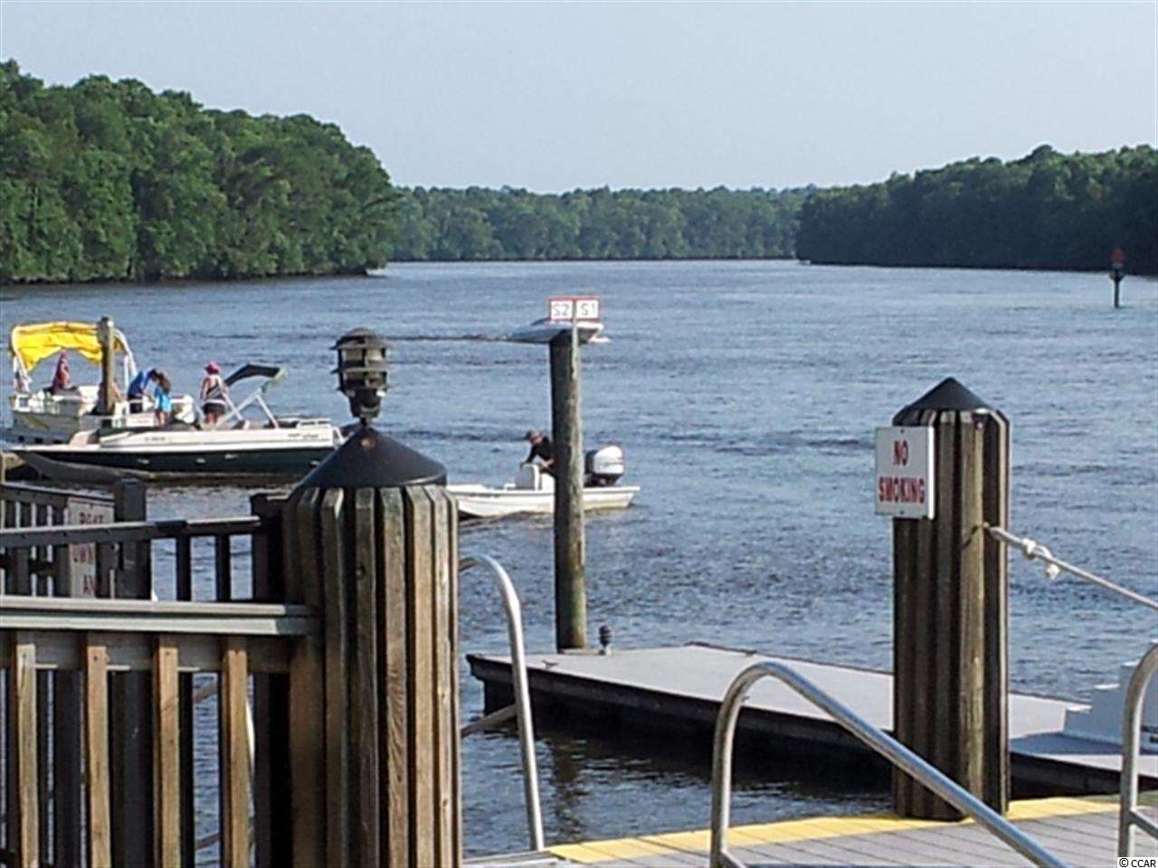 Tbd Summerlight Drive Murrells Inlet, SC 29576 - Photo 24 of 25 Gallery Image 24