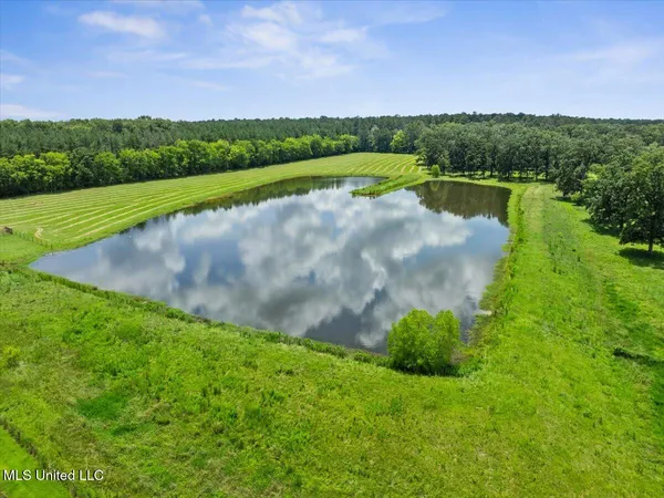 $1,599,000 | 1951 East 3rd Street, Forest, MS 39074