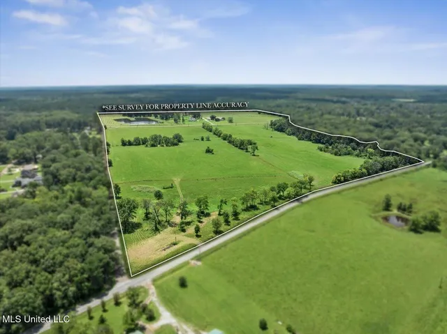 $1,650,000 | 1951 East 3rd Street, Forest, MS 39074