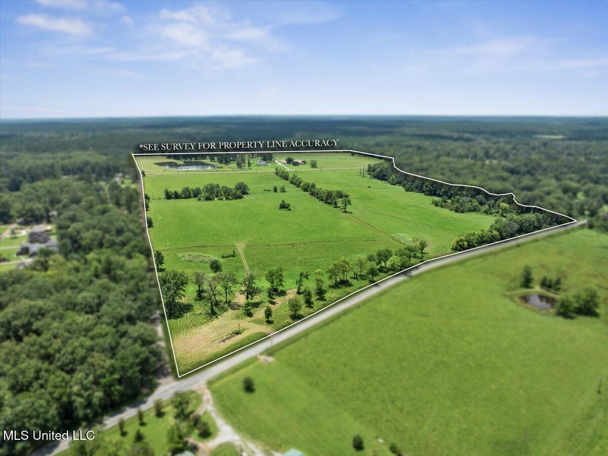 1951 East 3rd Street Forest, MS 39074 - Photo 85 of 91 01-DJI_0283