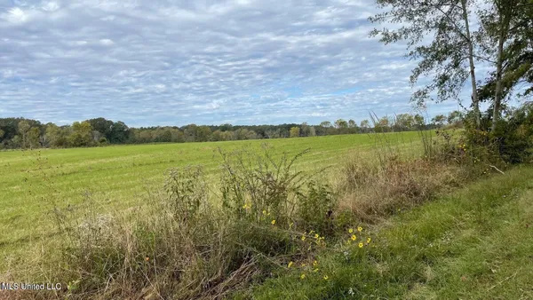 $1,599,000 | 1951 East 3rd Street, Forest, MS 39074