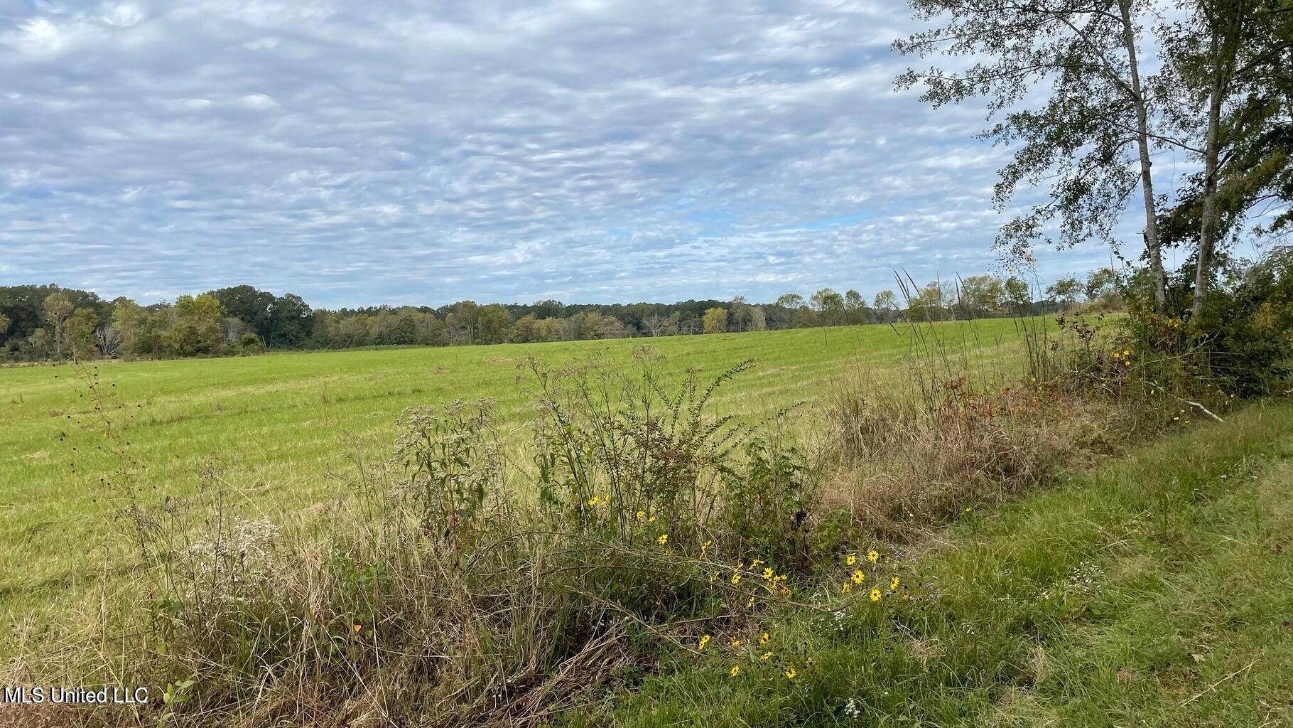 1951 East 3rd Street Forest, MS 39074 - Photo 88 of 91 20211028200407290084000000-o