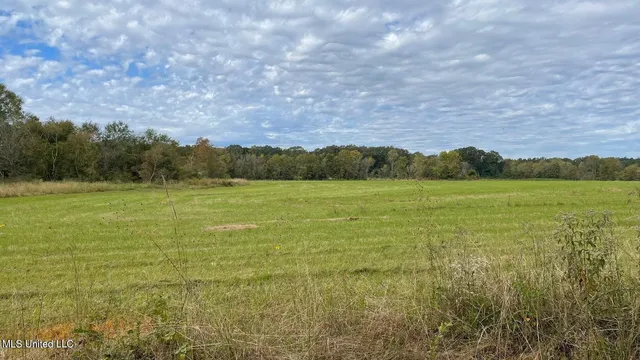 $1,650,000 | 1951 East 3rd Street, Forest, MS 39074