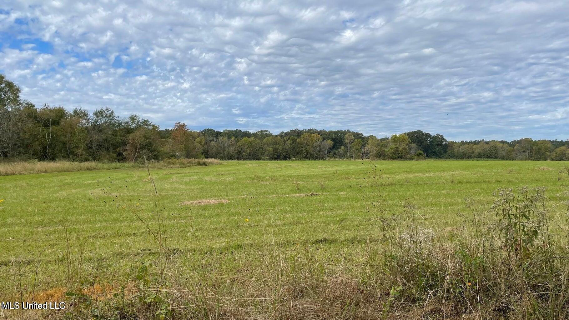 1951 East 3rd Street Forest, MS 39074 - Photo 89 of 91 20211028200419188386000000-o