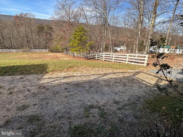 a view of a yard with a trees