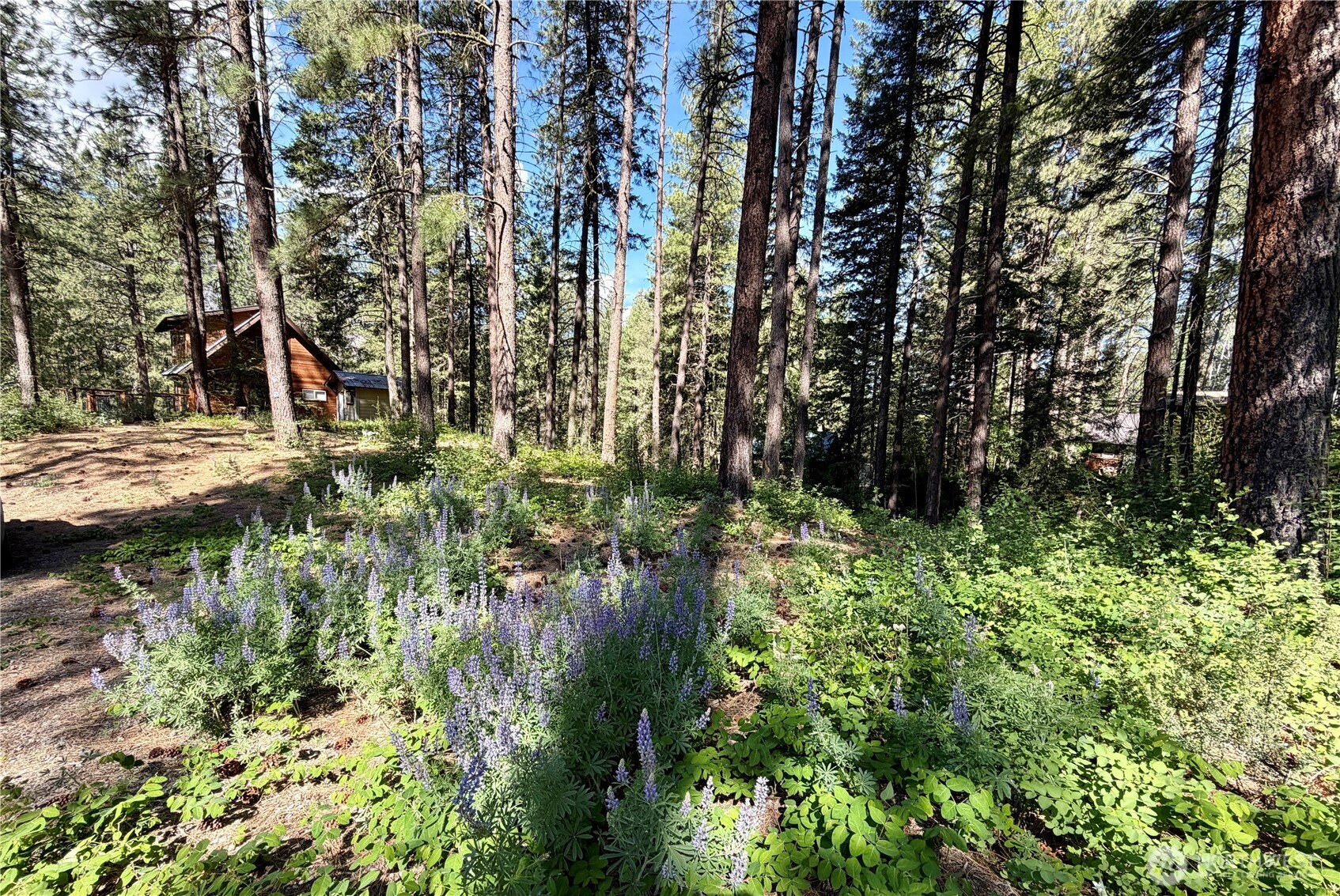 11 Highland Mdw Road Winthrop, WA 98862 - Photo 21 of 25 a backyard of a building with trees