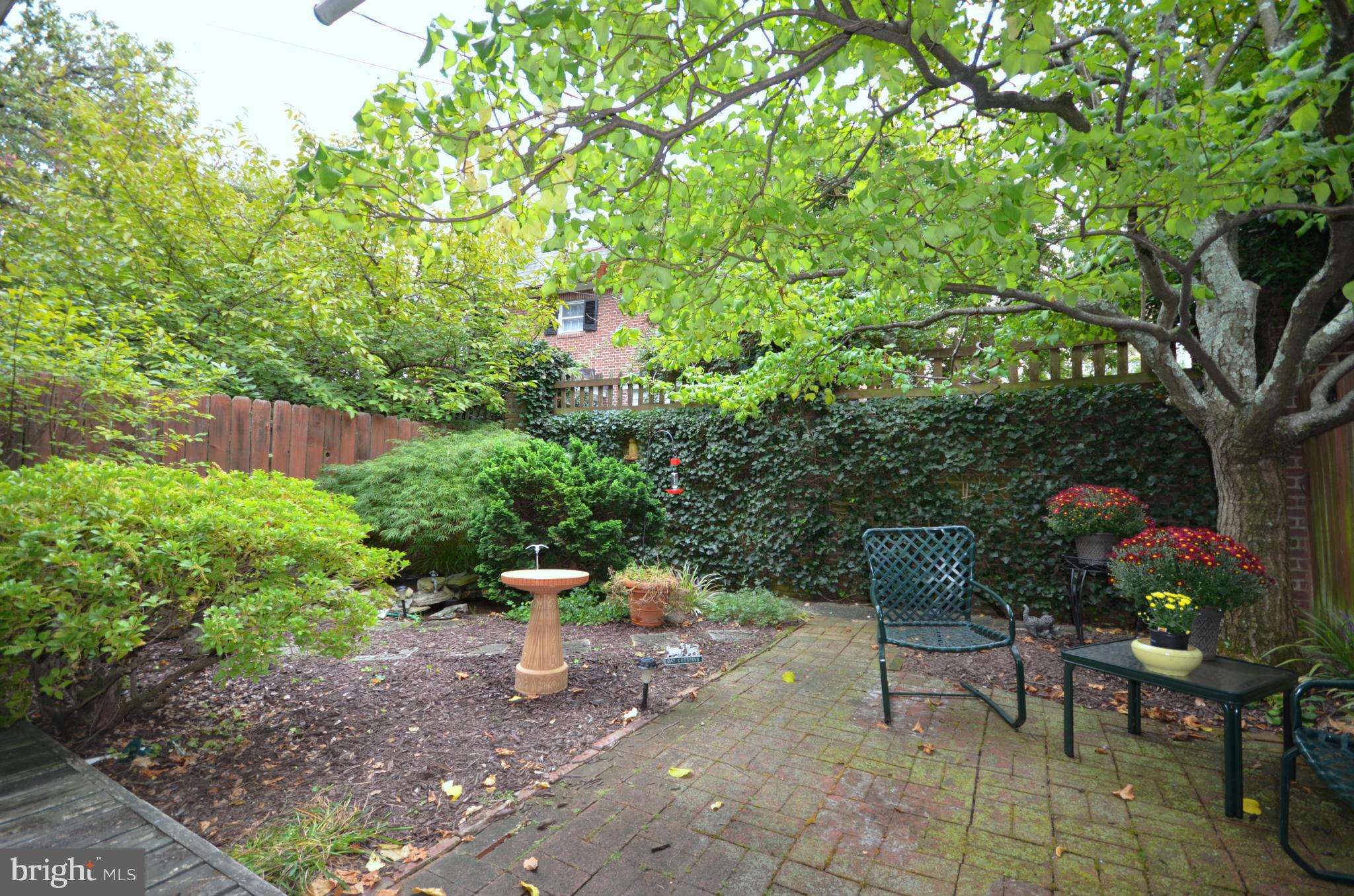 4314 Roland Avenue Baltimore, MD 21210 - Photo 28 of 30 Garden & patio