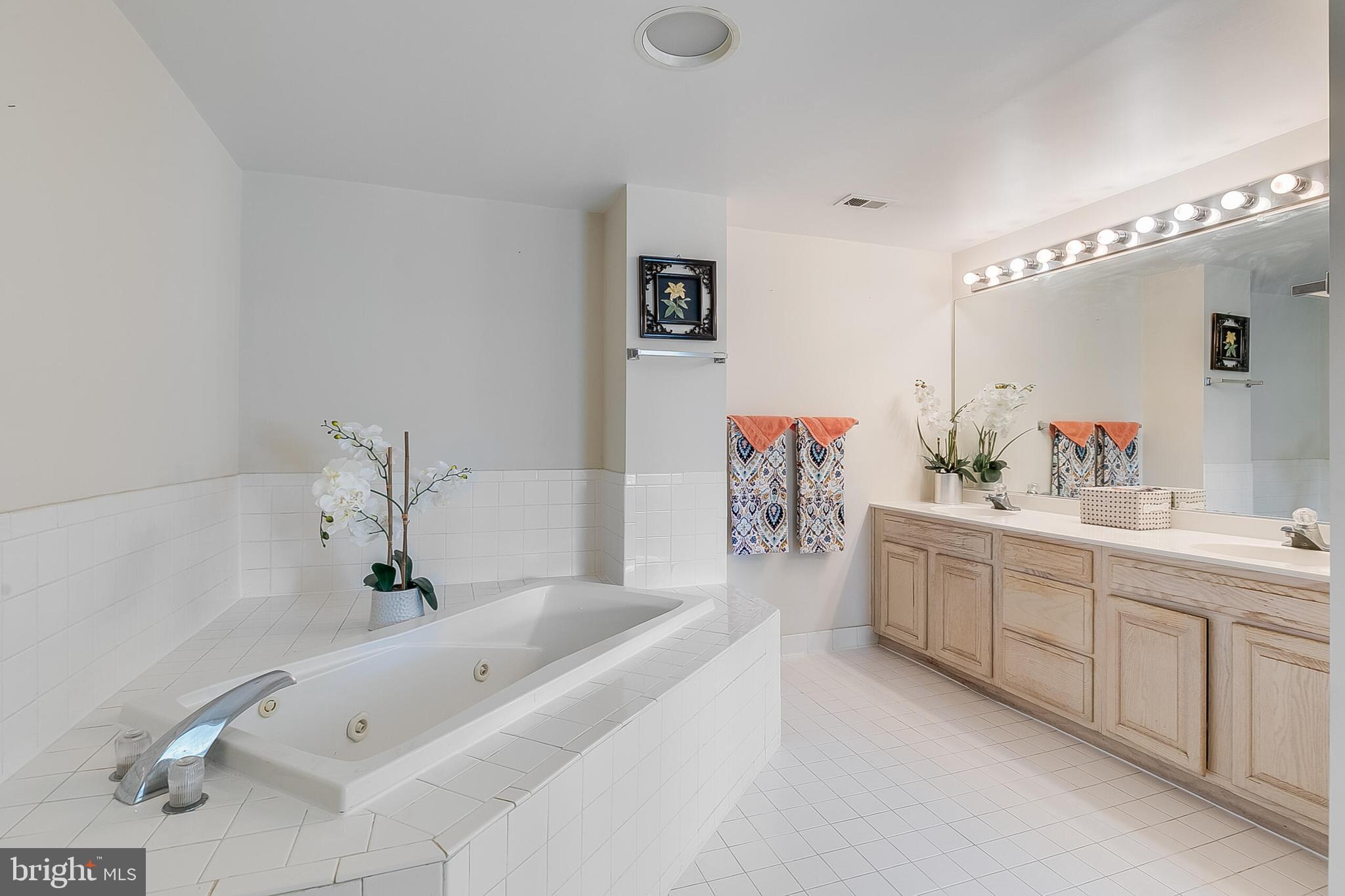5450 Whitley Park Terrace, Unit 209 Bethesda, MD 20814 - Photo 19 of 29 a bathroom with a bathtub a sink and mirror