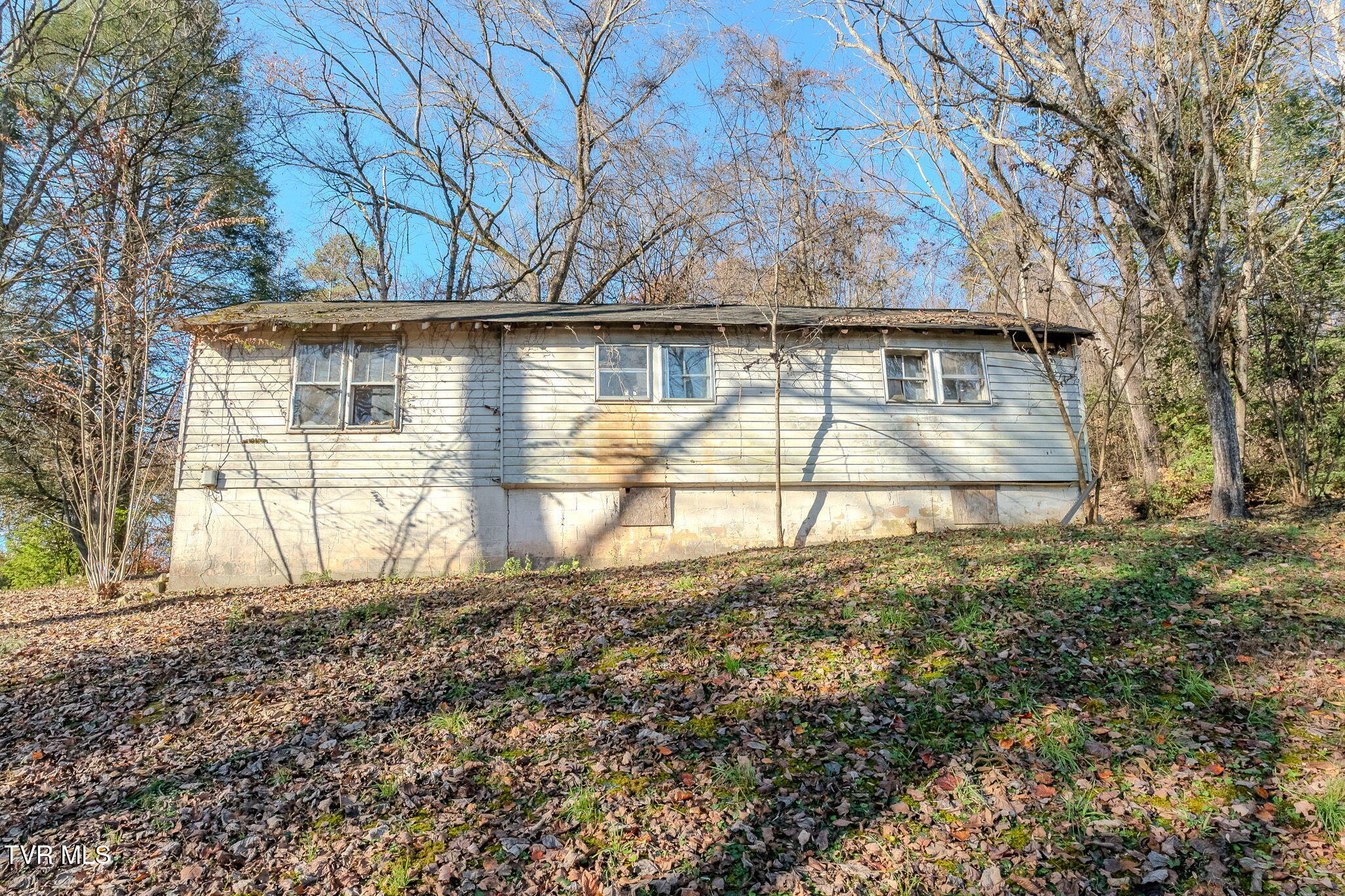 9549 Heiskell Road Heiskell, TN 37754 - Photo 14 of 18 14