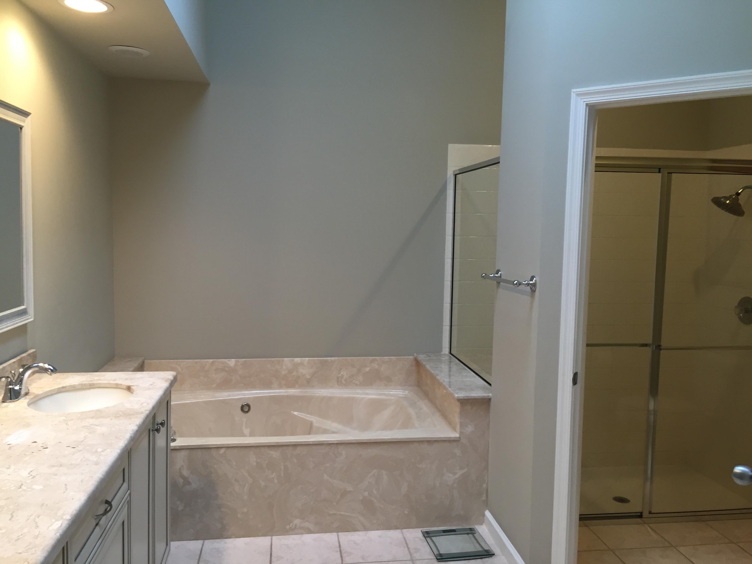 6351 Northwest 24th Street Boca Raton, FL 33434 - Photo 35 of 42 Master Bath: Tub & Shower