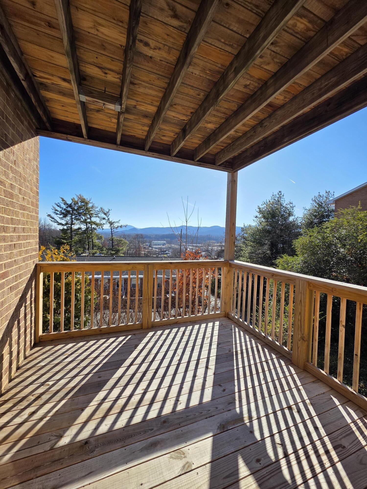 800 Kerner Avenue Salem, VA 24153 - Photo 8 of 16 a view of balcony with wooden floor