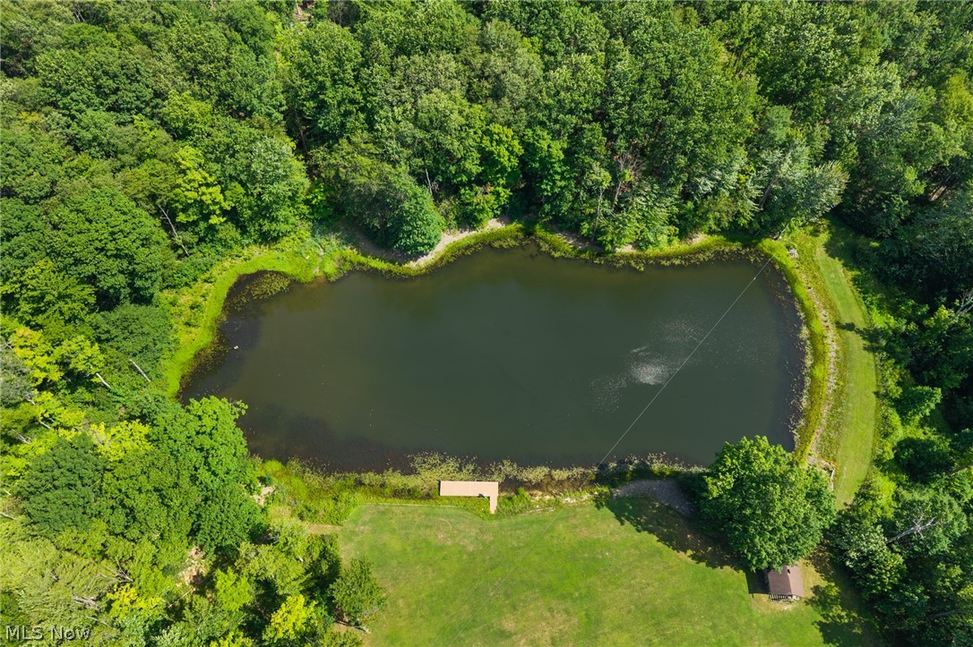 9419 Robinson Road Chardon, OH 44024 - Photo 45 of 49 Private pond surrounded by dense, mature trees and a manicured grassy area