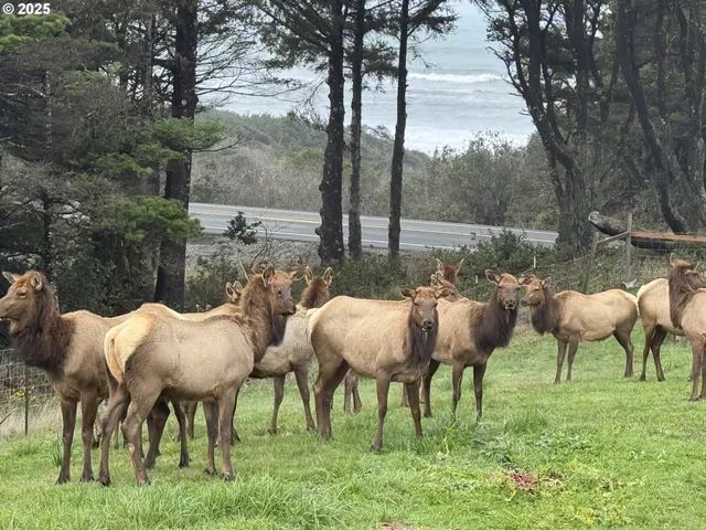 $199,500 | Ophir Road, Gold Beach, OR 97444