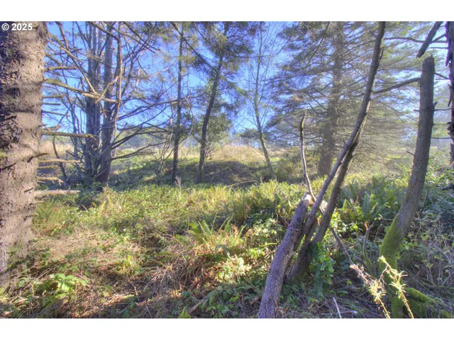 $199,500 | Ophir Road, Gold Beach, OR 97444