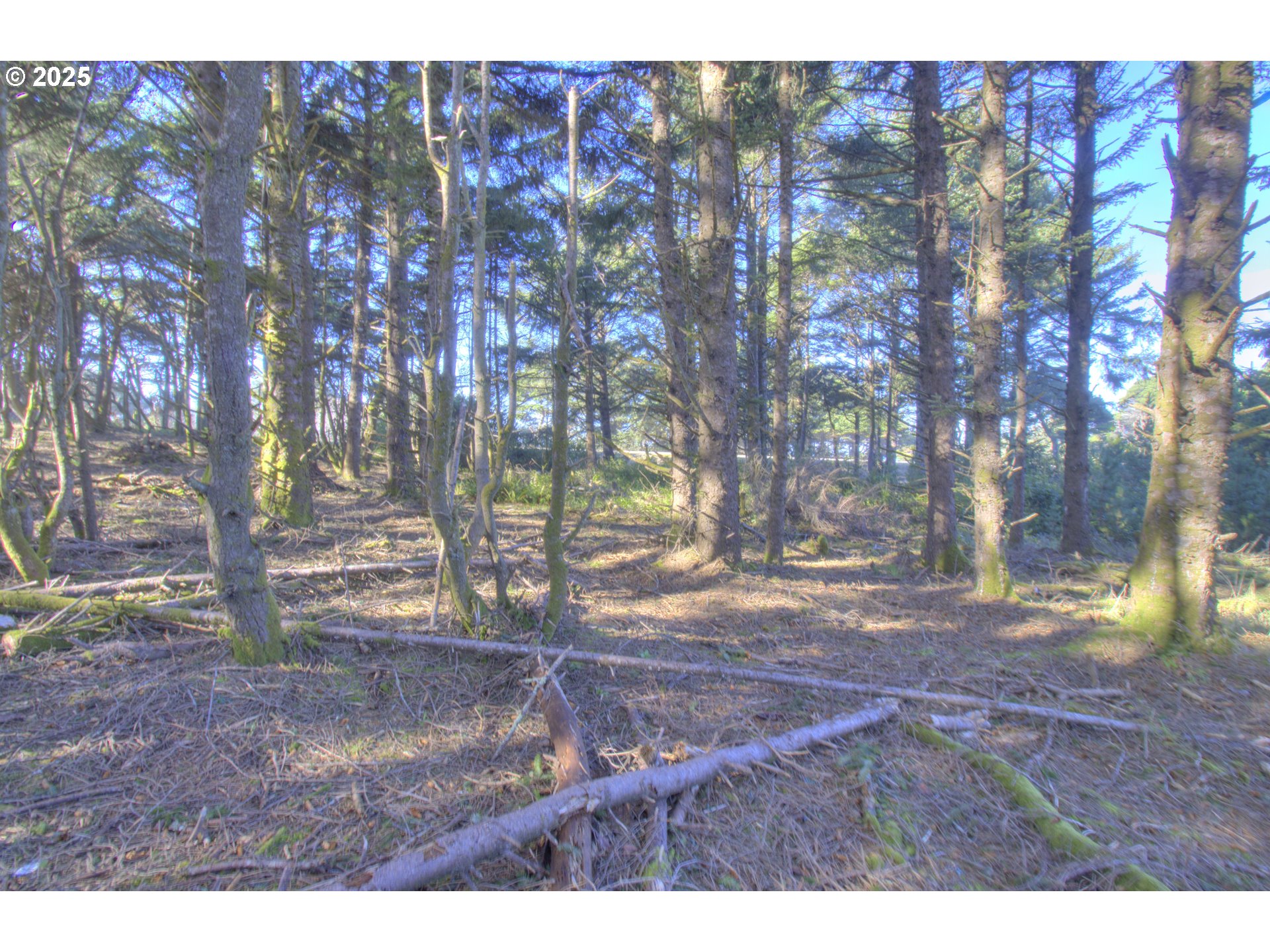 Ophir Road Gold Beach, OR 97444 - Photo 8 of 14