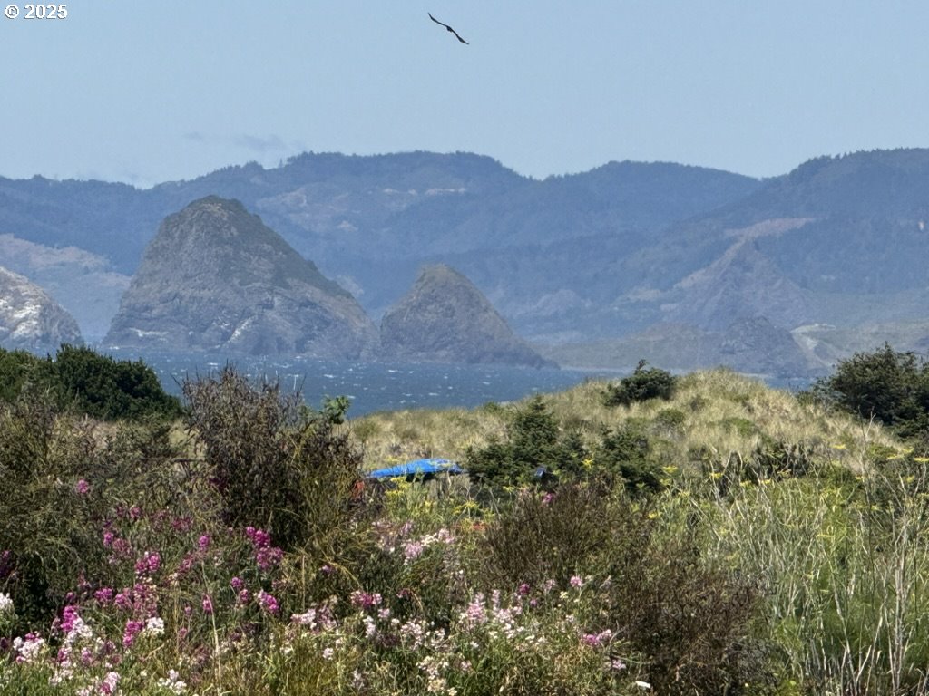 Ophir Road Gold Beach, OR 97444 - Photo 10 of 14