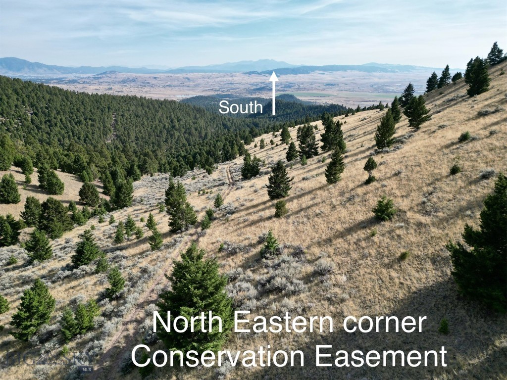Tbd Lookout Trail Ramsay, MT 59748 - Photo 18 of 40 Gallery Image 18