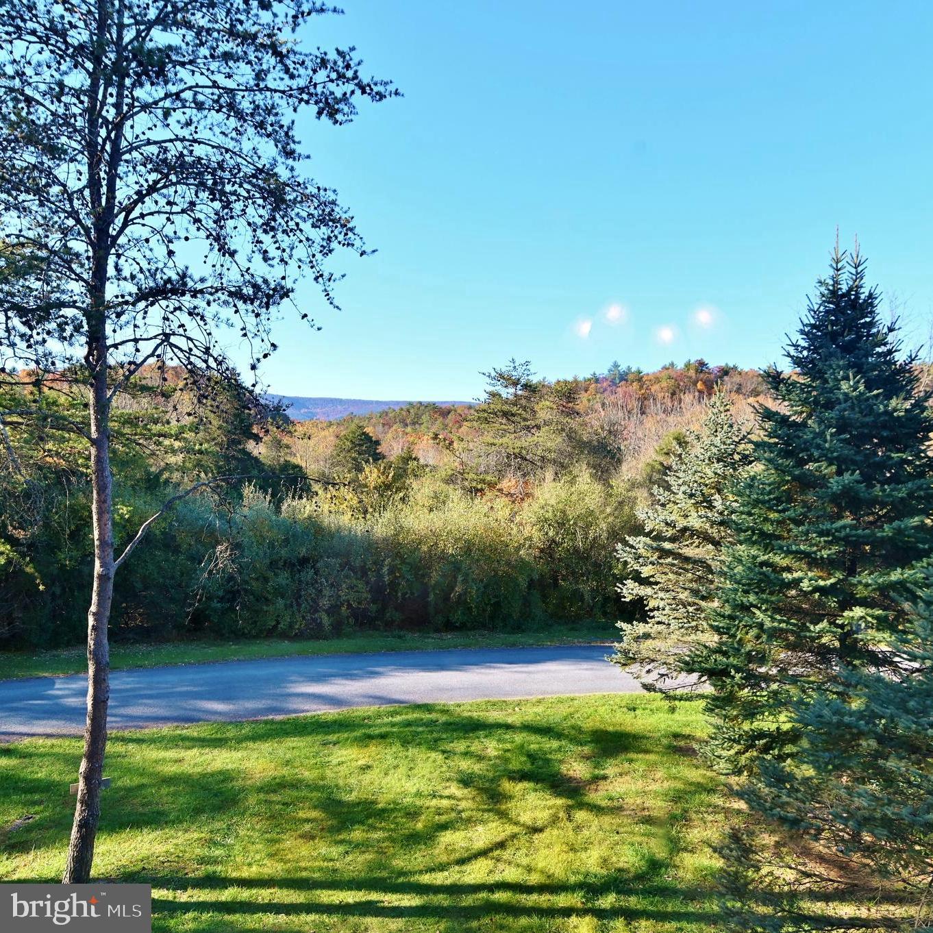 Views from ground level!