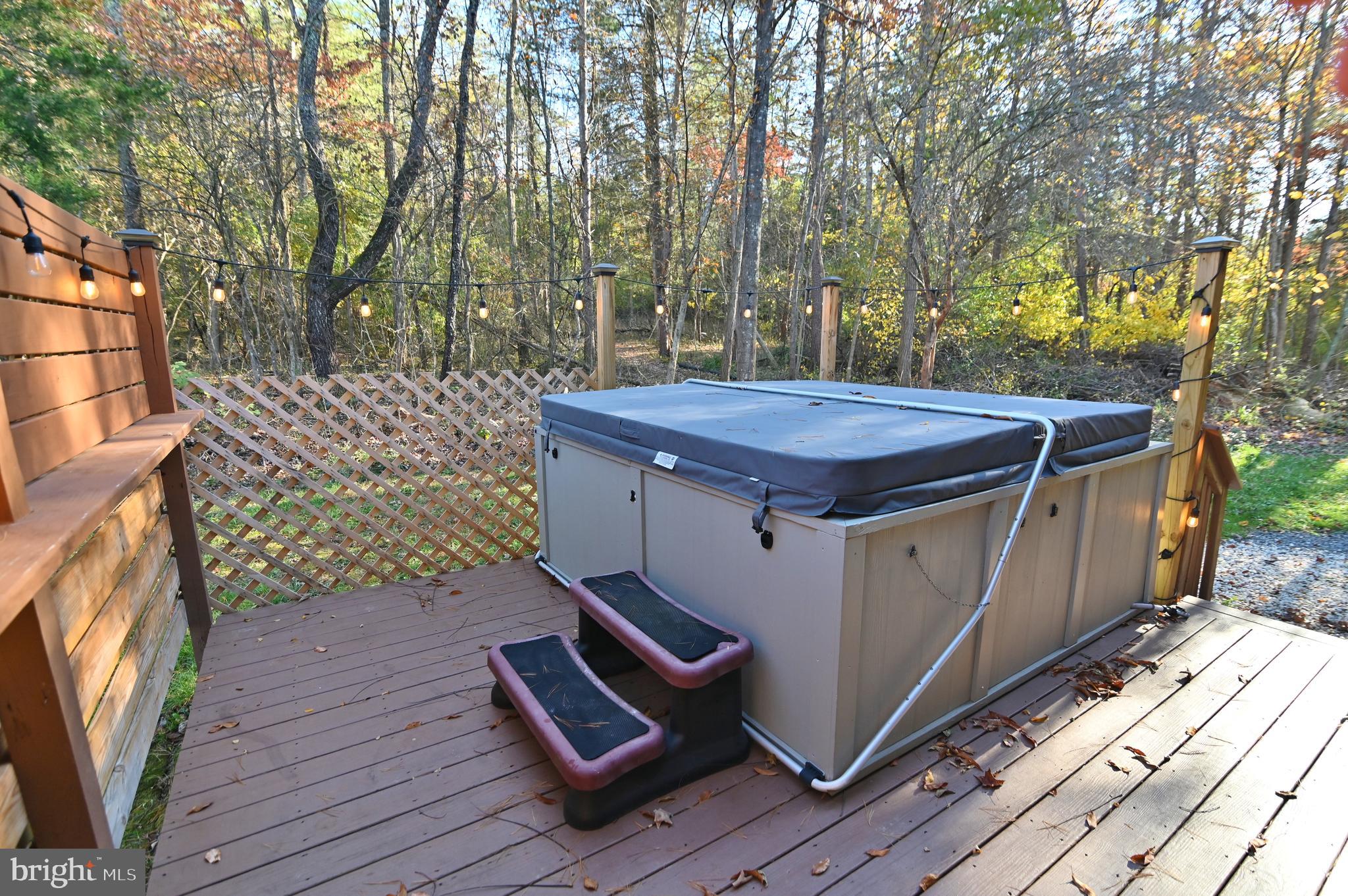 997 Quail Road Basye, VA 22810 - Photo 34 of 58 Back Deck - Hot Tub