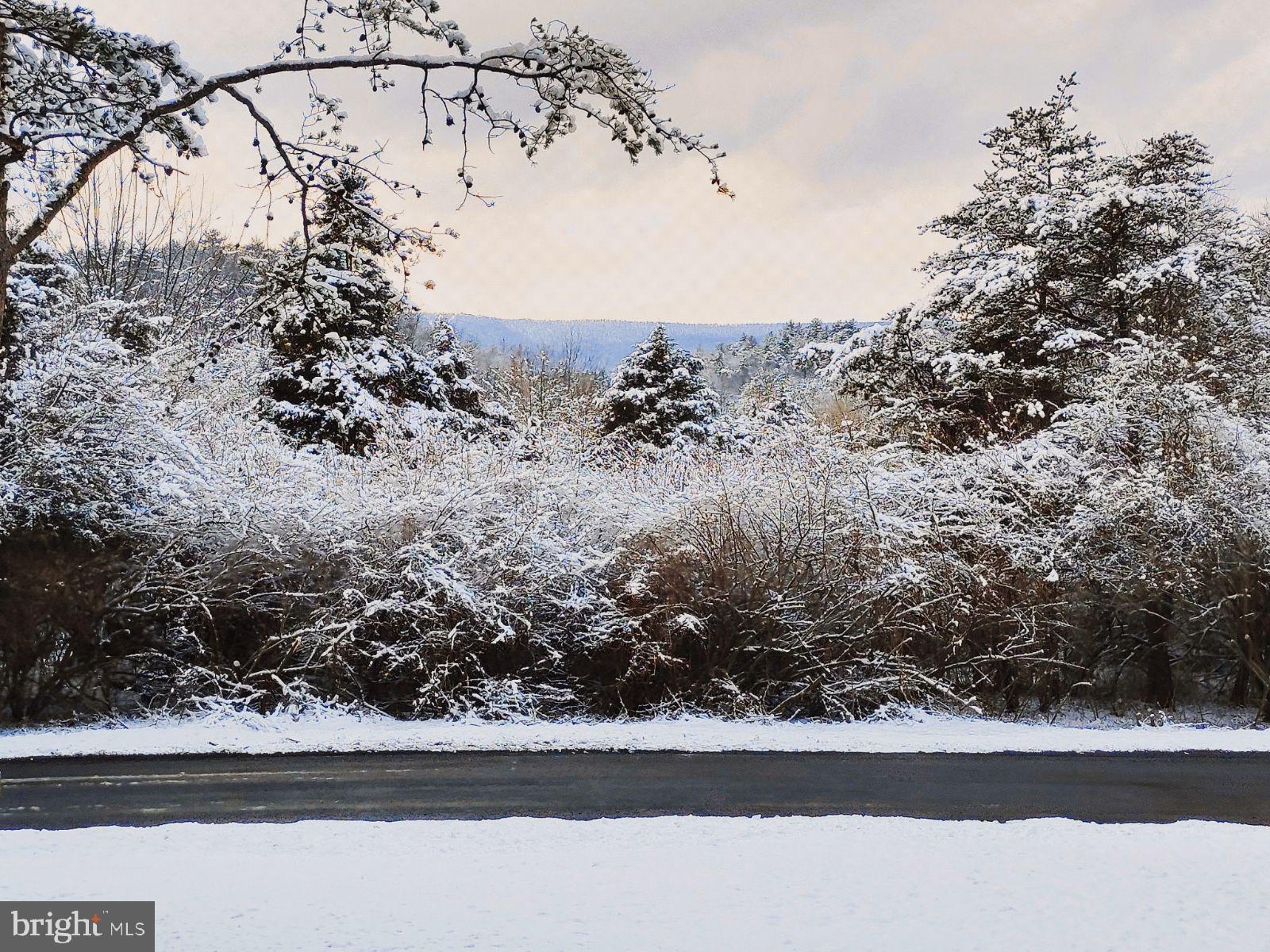 997 Quail Road Basye, VA 22810 - Photo 38 of 58 Last Winter