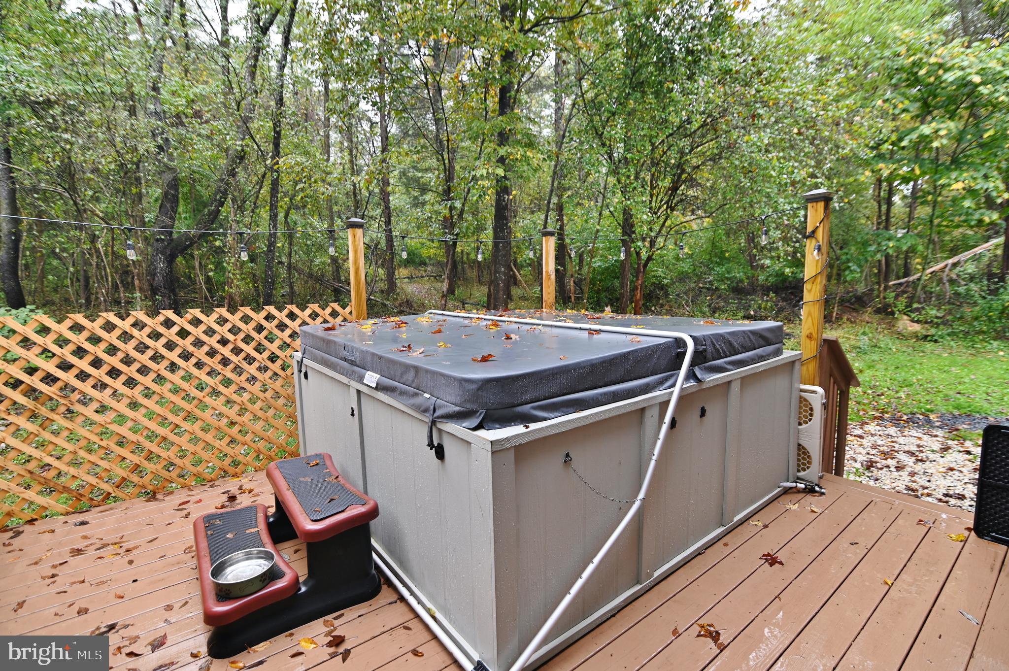 997 Quail Road Basye, VA 22810 - Photo 8 of 58 Back deck - Hot Tub year round