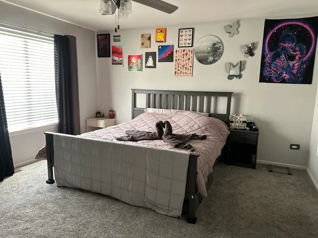 $405,000 | 709 Winterberry Drive, Joliet, IL 60431