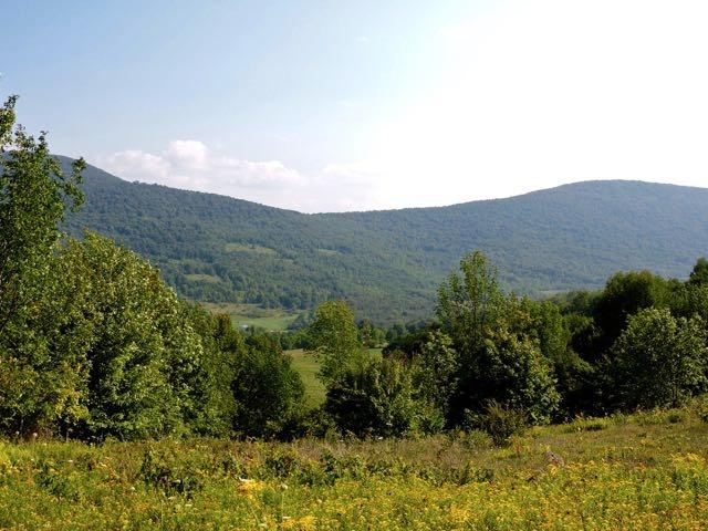 1684 Vega Mountain Road Roxbury, NY 12421 - Photo 1 of 1