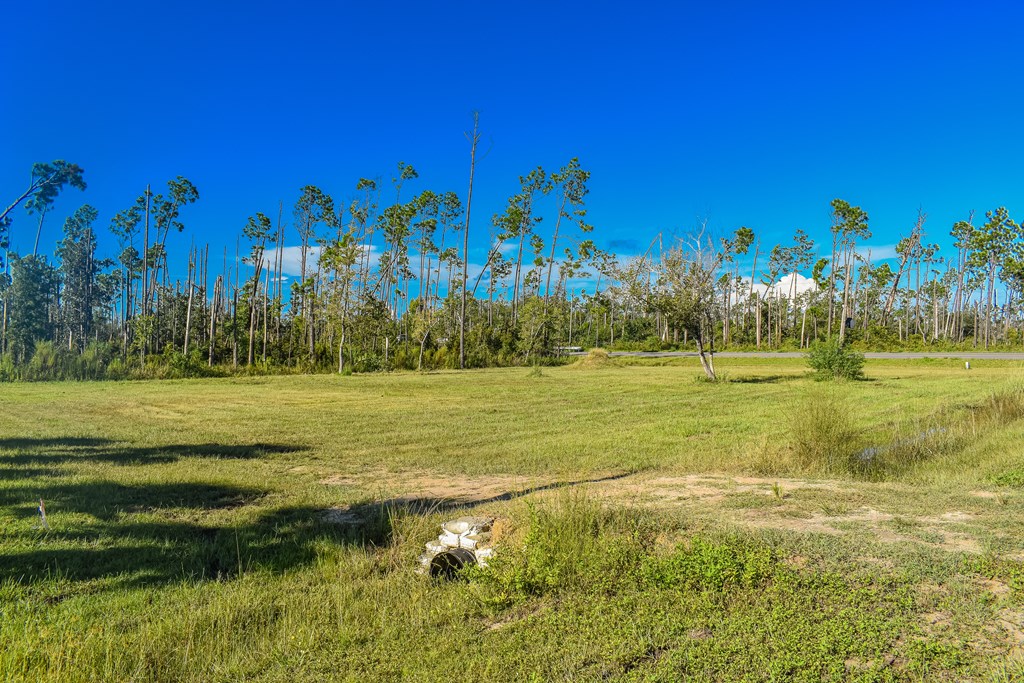 0 Shell Road Port St. Joe, FL 32456 - Photo 3 of 10