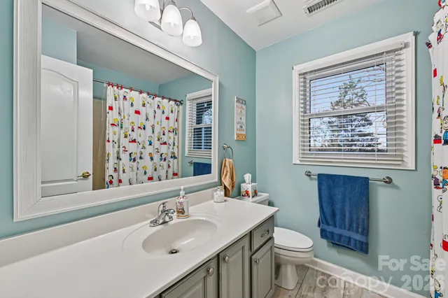 a bathroom with a sink a toilet and shower curtain