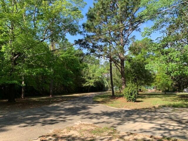 5735 Wildwood Road Crestview, FL 32536 - Photo 2 of 17 5735 Wildwood Rd. Driveway