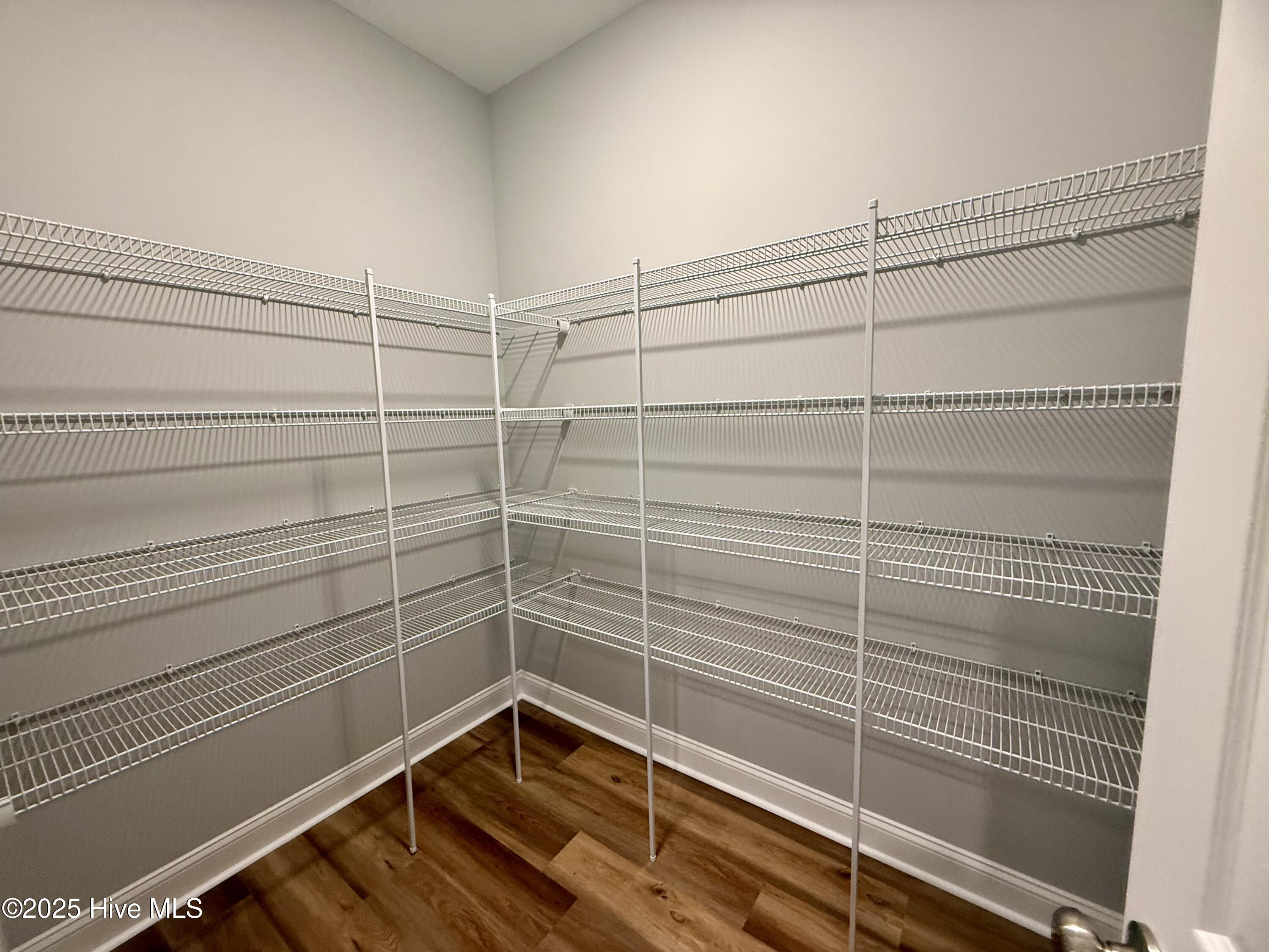 12470 Blues Farm Road Laurinburg, NC 28352 - Photo 14 of 28 great walk in pantry