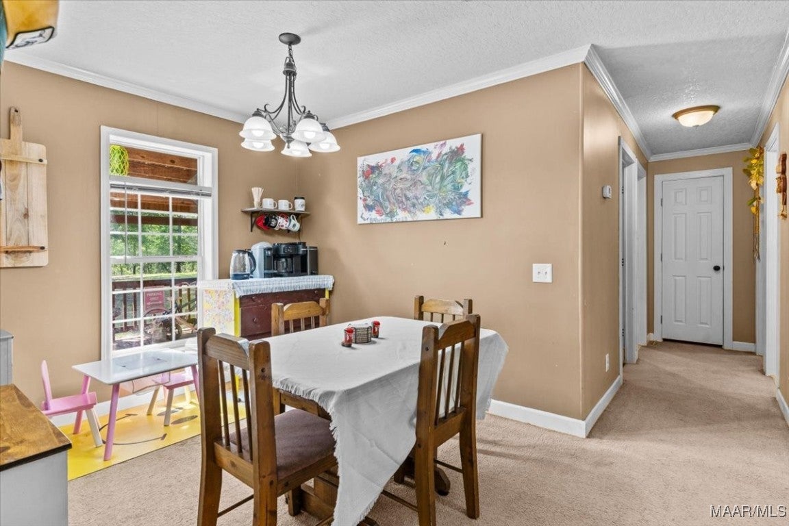 30751 Holmes Langford Road Opp, AL 36467 - Photo 7 of 32 Gallery Image 7
