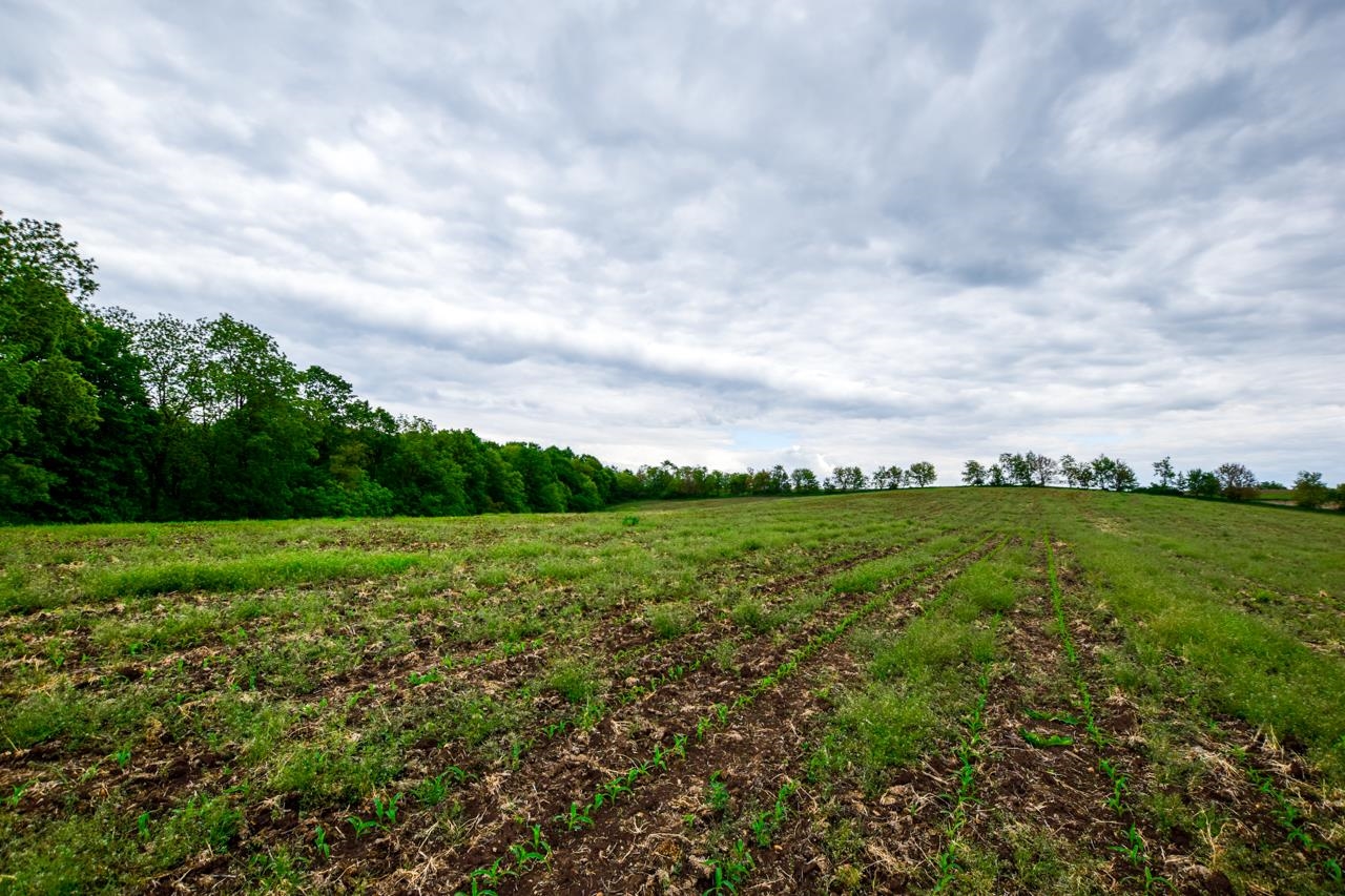 Lot 2 Dividing Ridge Monticello, WI 53570 - Photo 8 of 12 Gallery Image 8