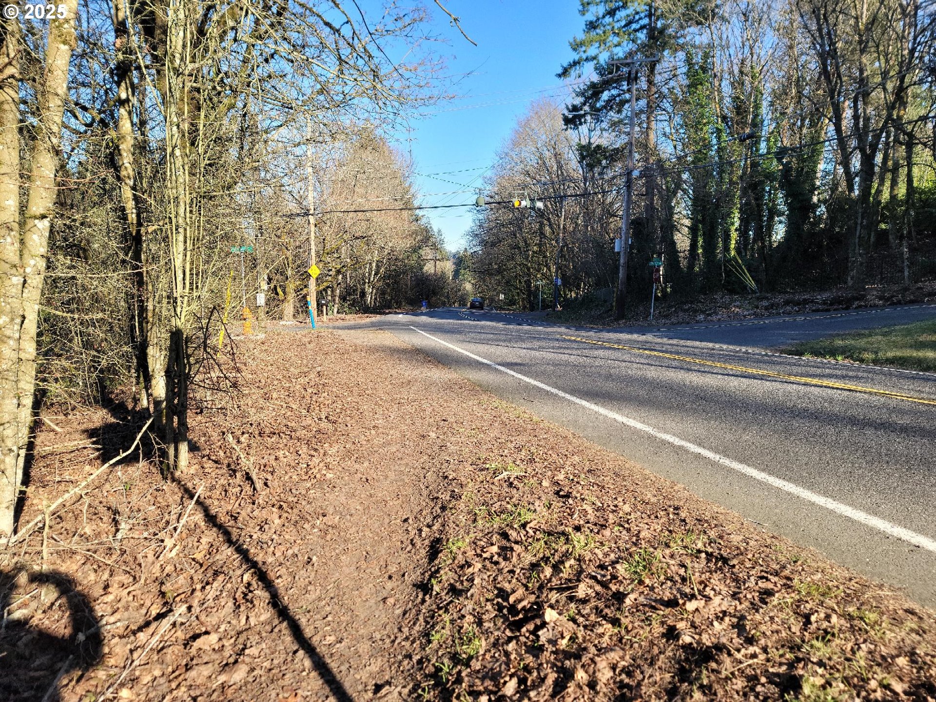 Clara Lane Lake Oswego, OR 97035 - Photo 5 of 18 a view of a yard with trees