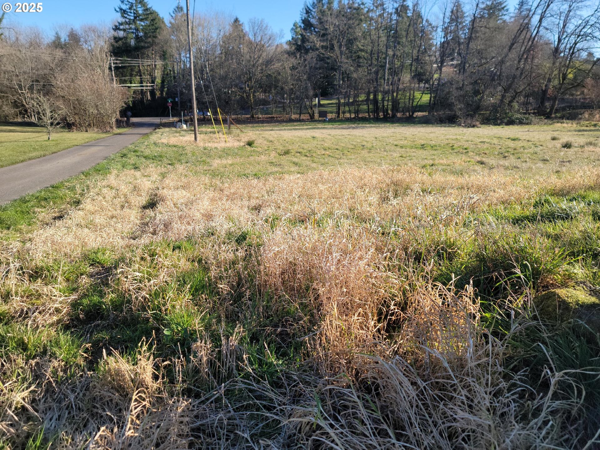 Clara Lane Lake Oswego, OR 97035 - Photo 6 of 18 a view of outdoor space with swimming pool