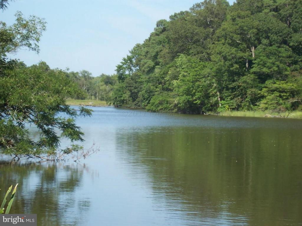 6428 Cherry Walk Road Quantico, MD 21856 - Photo 5 of 35 a view of a lake view