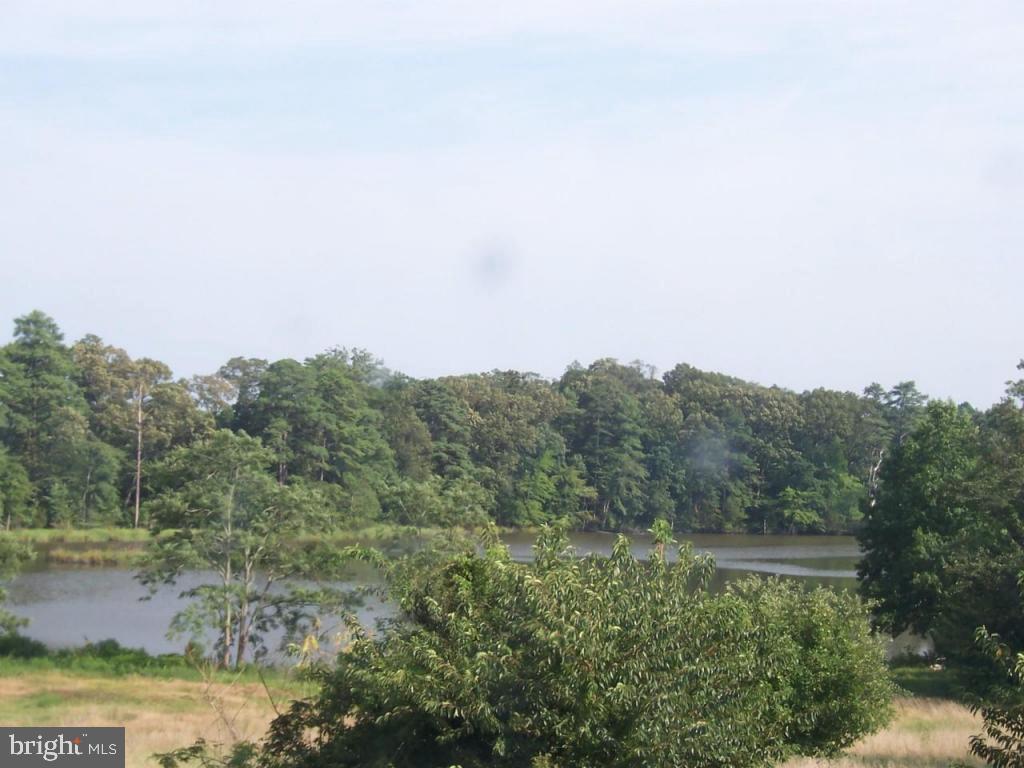 6428 Cherry Walk Road Quantico, MD 21856 - Photo 8 of 35 a view of a lake with trees in the background