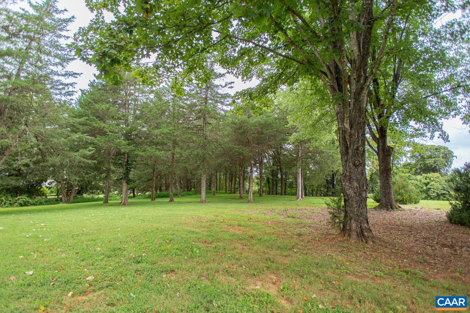 3575 Morgantown Road Charlottesville, VA 22903 - Photo 32 of 46 a backyard of a house with lots of green space