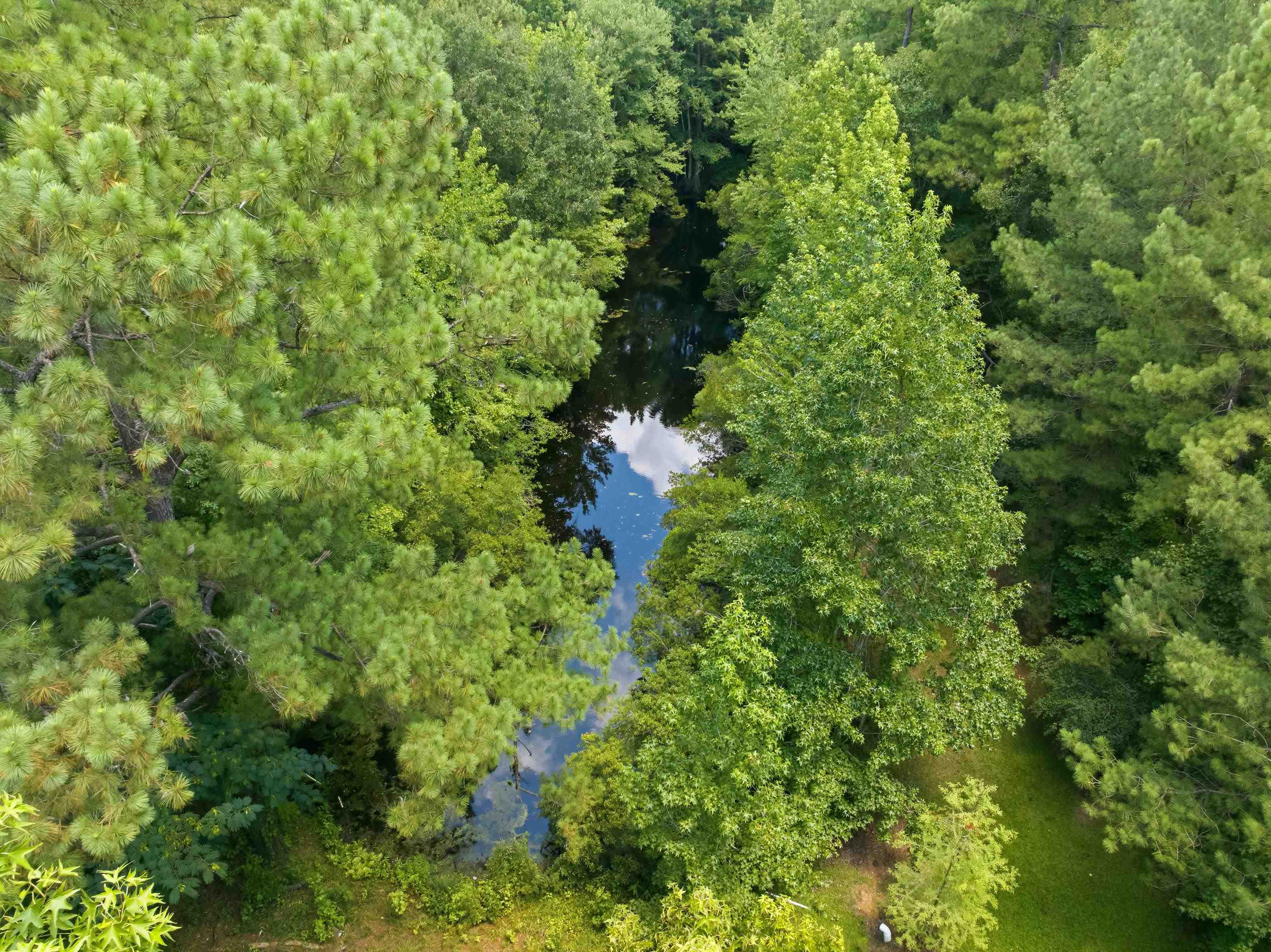 66 Highway 66 Conway, SC 29526 - Photo 9 of 21