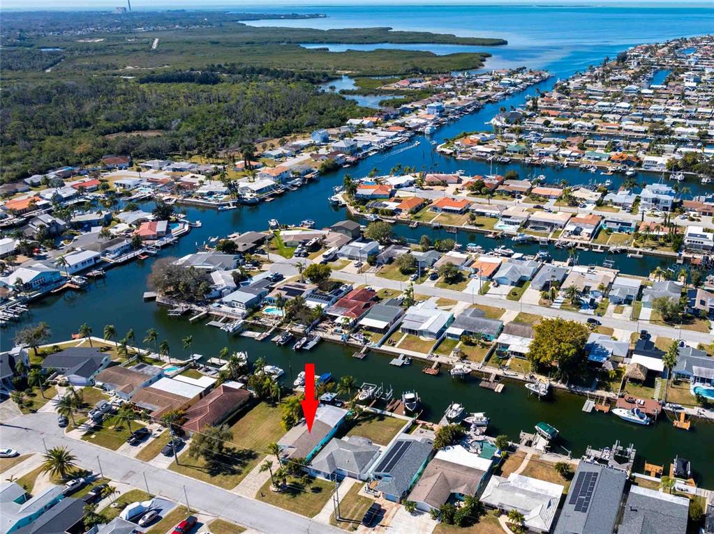 4925 Bonito Drive New Port Richey, FL 34652 - Photo 45 of 49