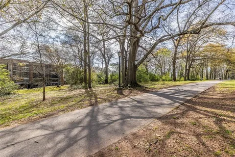 a view of road with large trees