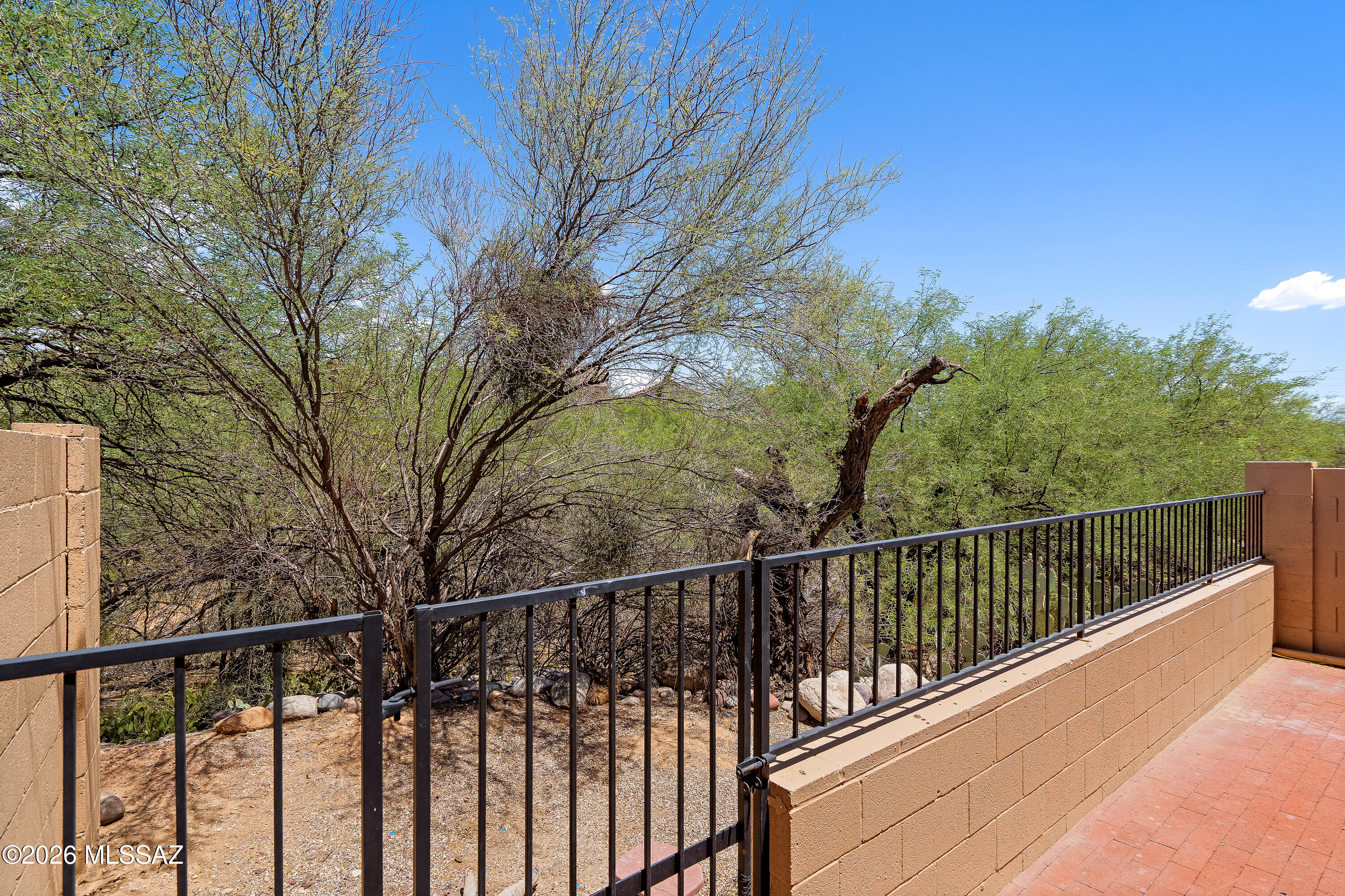 6224 North Rockglen Road Tucson, AZ 85704 - Photo 22 of 26 No rear neighbors