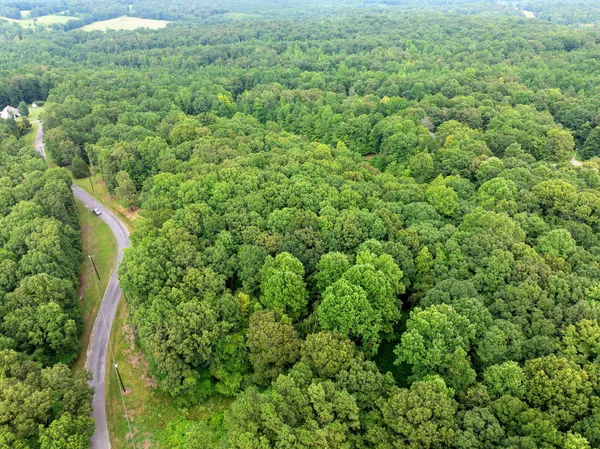 a view of a lush green forest