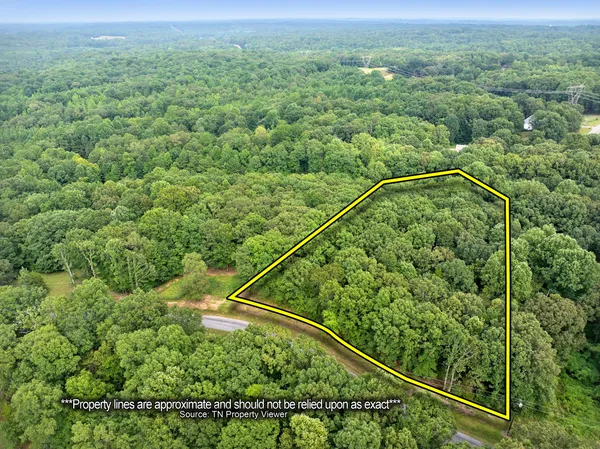 a view of a forest from a balcony