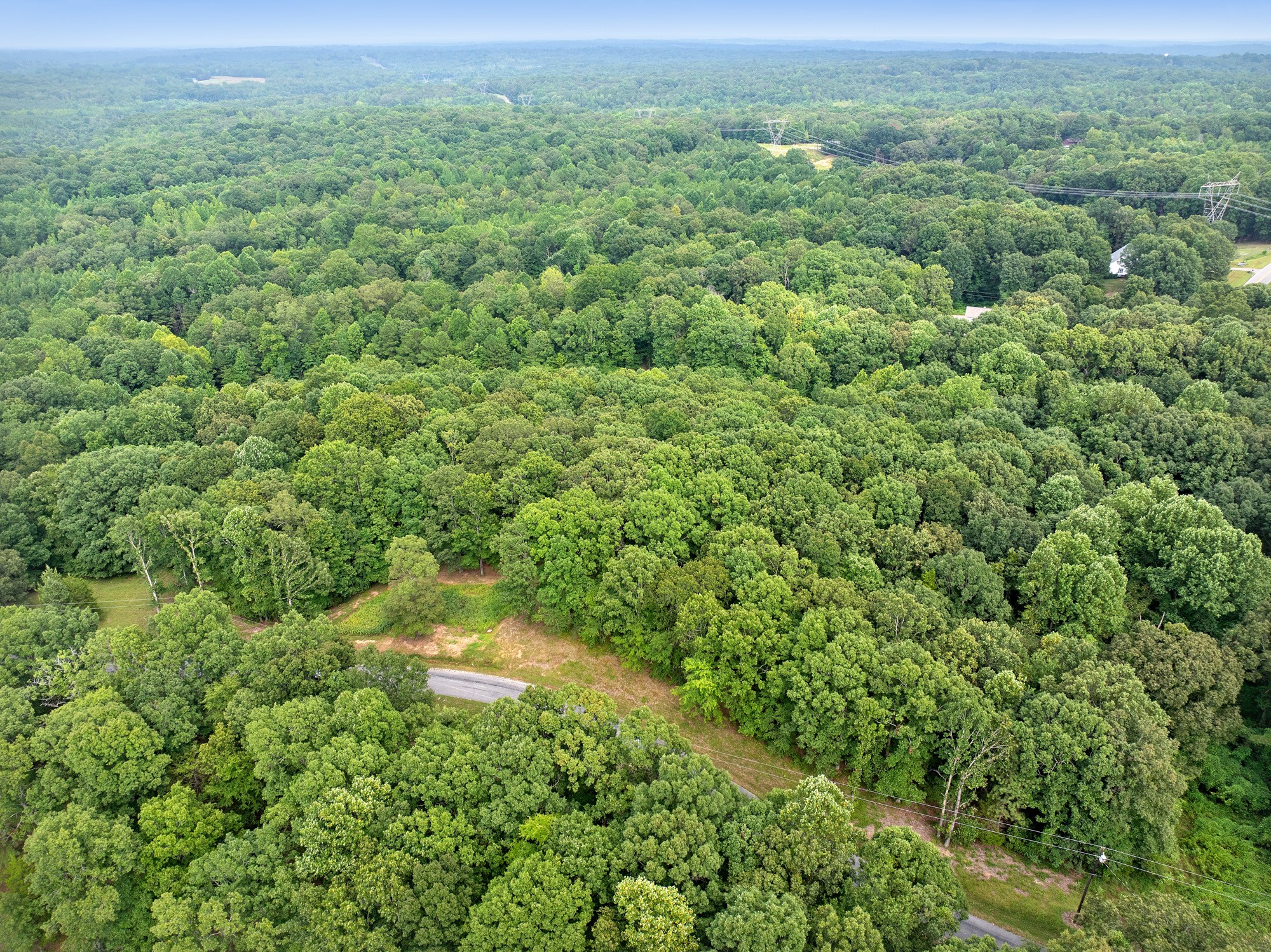 30 Stan Lane Cedar Grove, TN 38321 - Photo 7 of 11 a view of a green field with lots of bushes