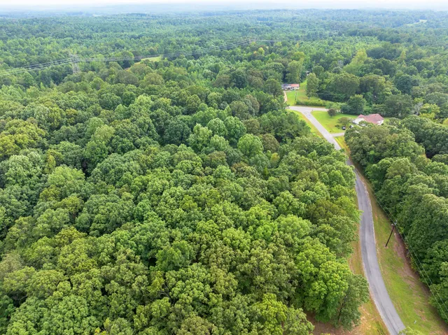 an aerial view of residential houses with outdoor space and trees