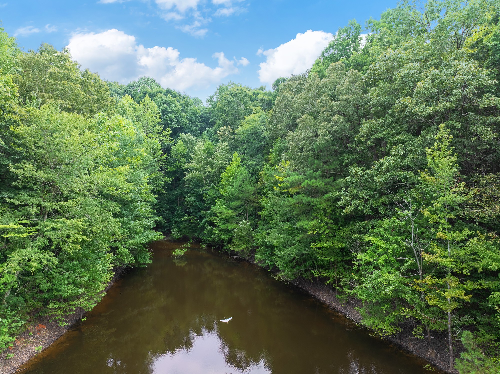 30 Stan Lane Cedar Grove, TN 38321 - Photo 10 of 11 an aerial view of residential houses with outdoor space and trees