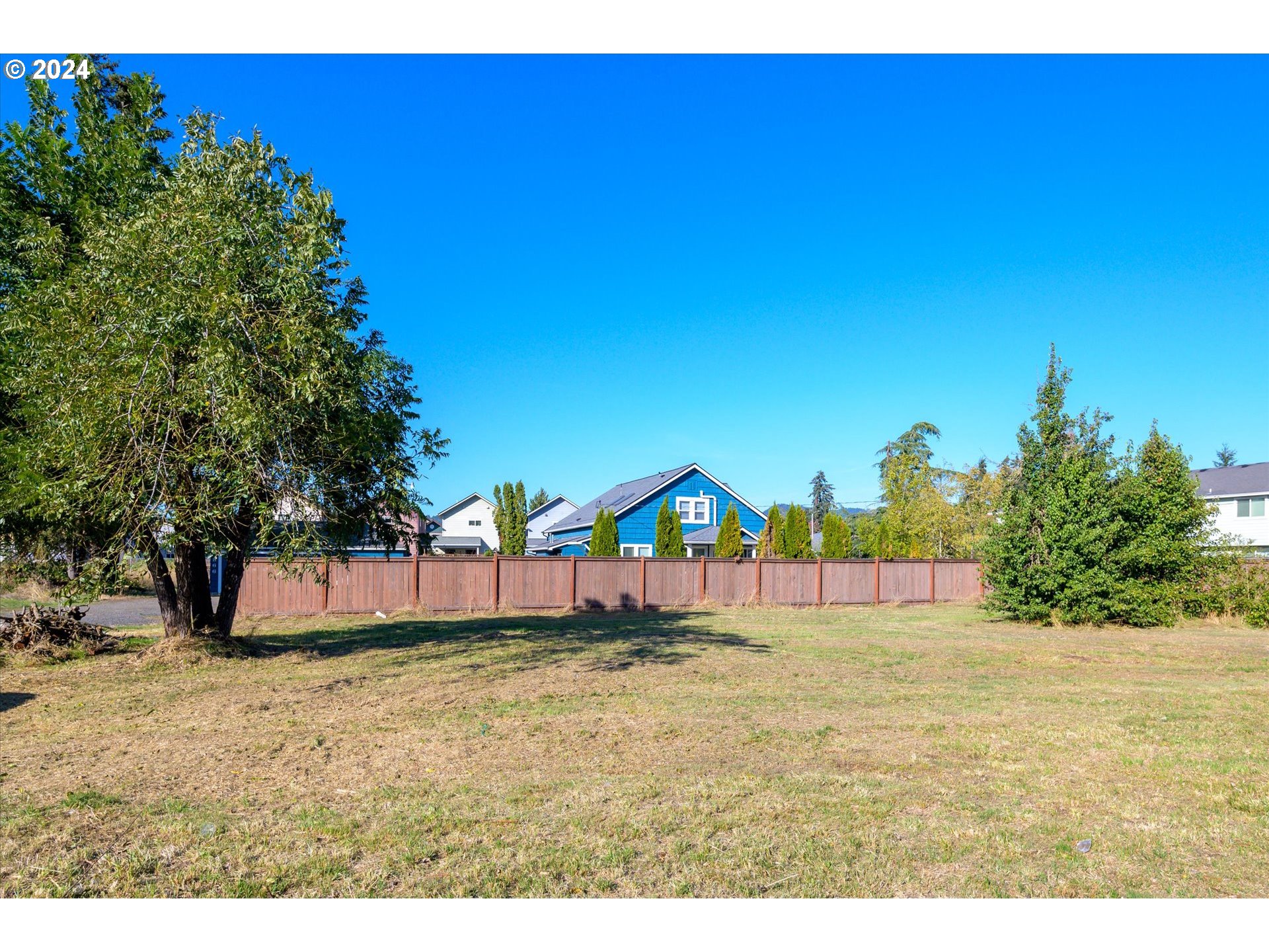 North Main Between 48-49th Street Springfield, OR 97478 - Photo 5 of 10 a view of large trees with a yard