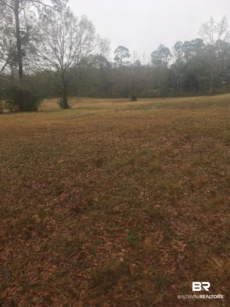 852 Hickory Street Florala, AL 36442 - Photo 1 of 11